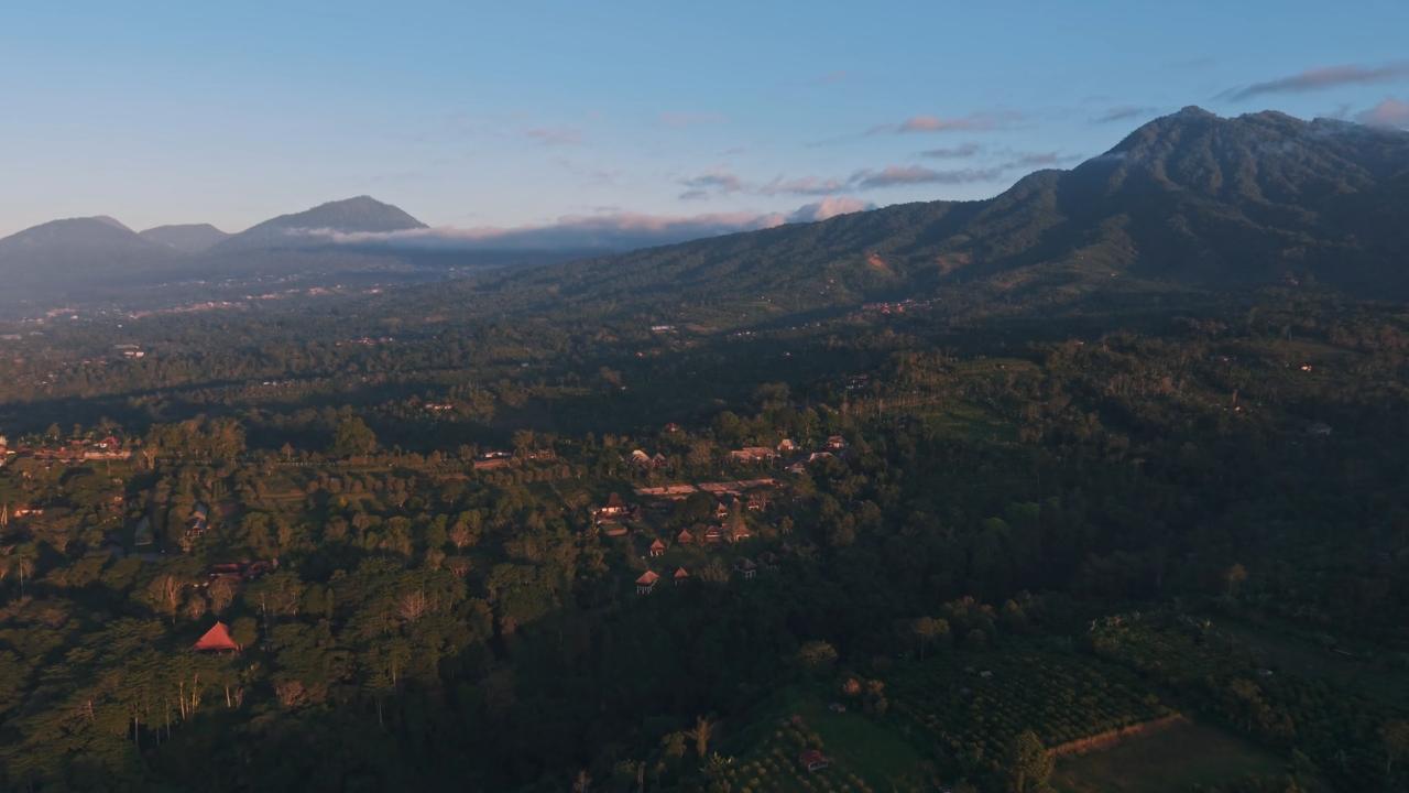 Mist over the forested valley below the estate